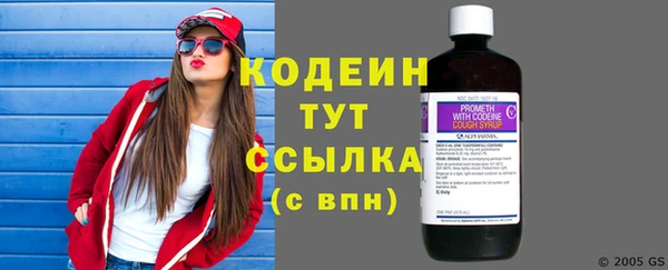 ECSTASY Богданович