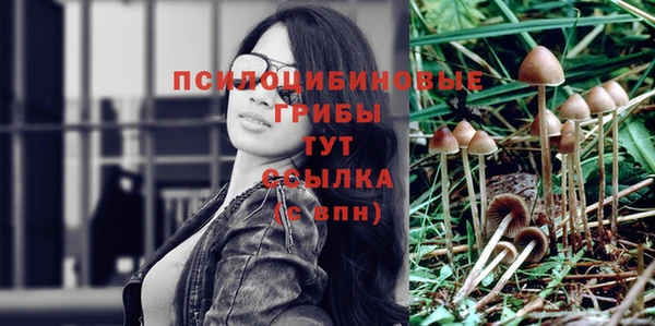 бошки Богородицк