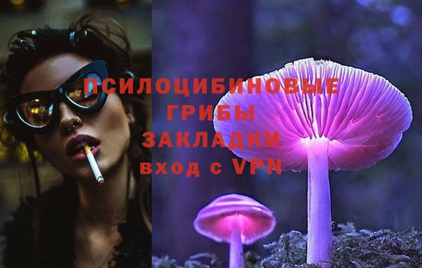 бошки Богородицк