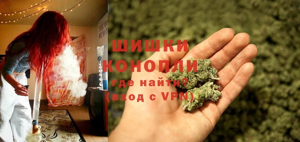 ECSTASY Богданович