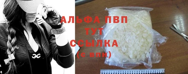 ECSTASY Богданович
