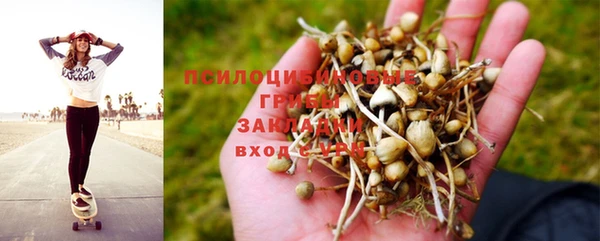 бошки Богородицк